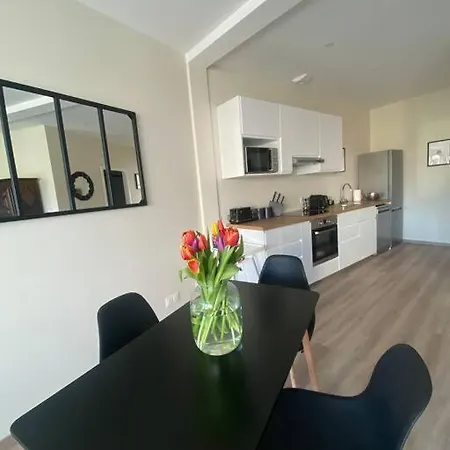 Apartment Duplex-by Aurelle 1-wifi-10 Mn Strasbourg Centre-proche Parlement Europeen