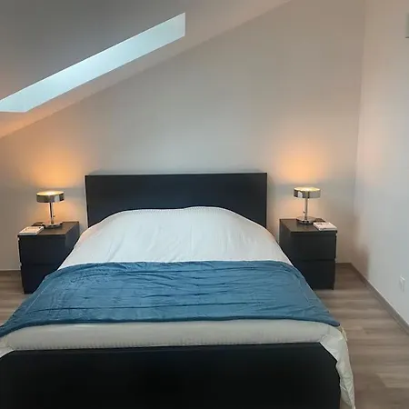 Apartment Duplex-by Aurelle 1-wifi-10 Mn Strasbourg Centre-proche Parlement Europeen