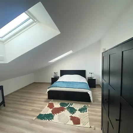 Duplex-by Aurelle 1-wifi-10 Mn Strasbourg Centre-proche Parlement Europeen Schiltigheim