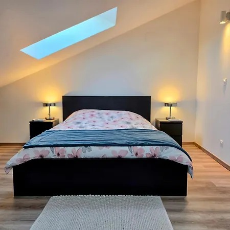 Appartamento Cosy duplex proche parlement européen et Strasbourg